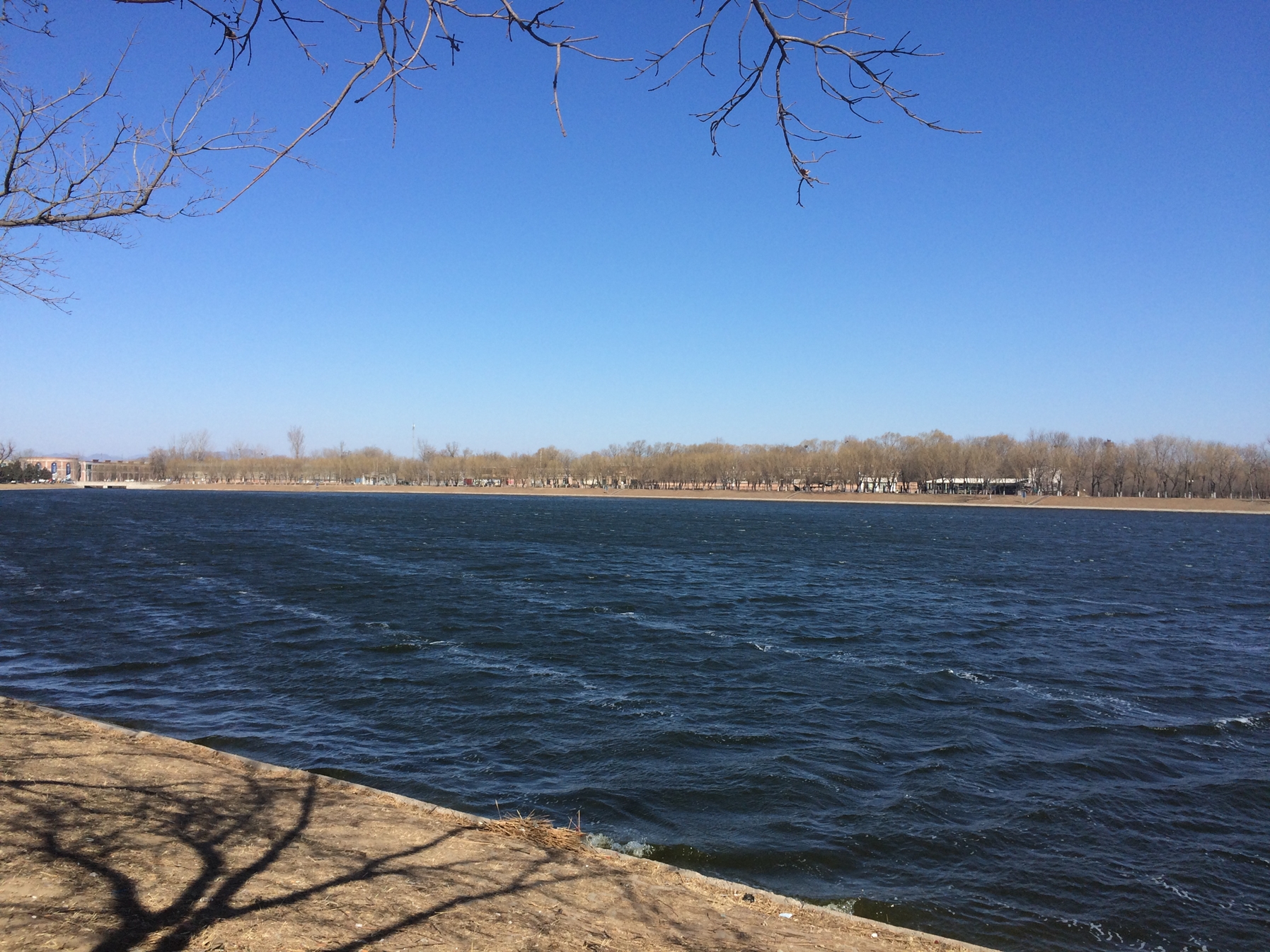 羅馬湖藝術區以舊的工廠房為基地，分租給藝術家做為工作室。