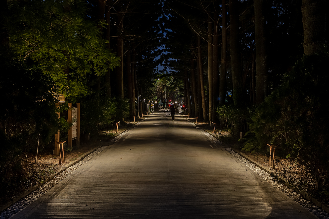 植光步道的光源均勻柔和灑落在路面，接引人的視線。（攝影／丰宇影像）