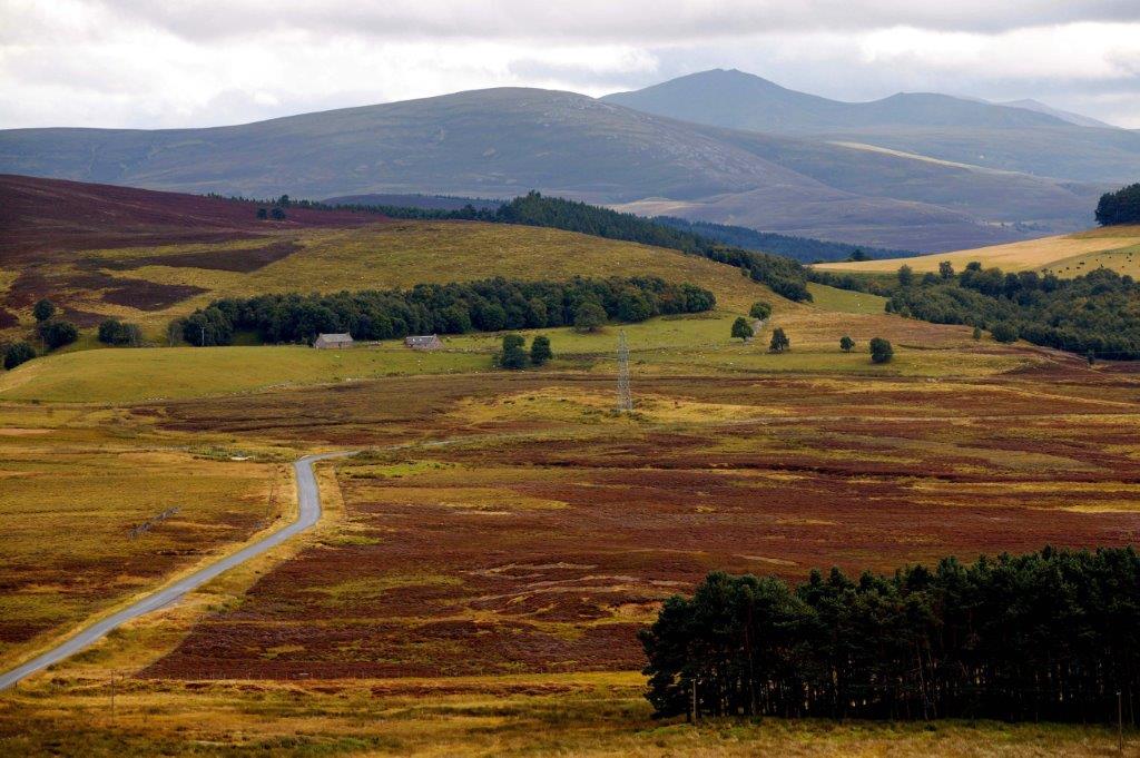 格蘭菲迪酒廠座落於酒廠雲集的蘇格蘭高地Speyside區。