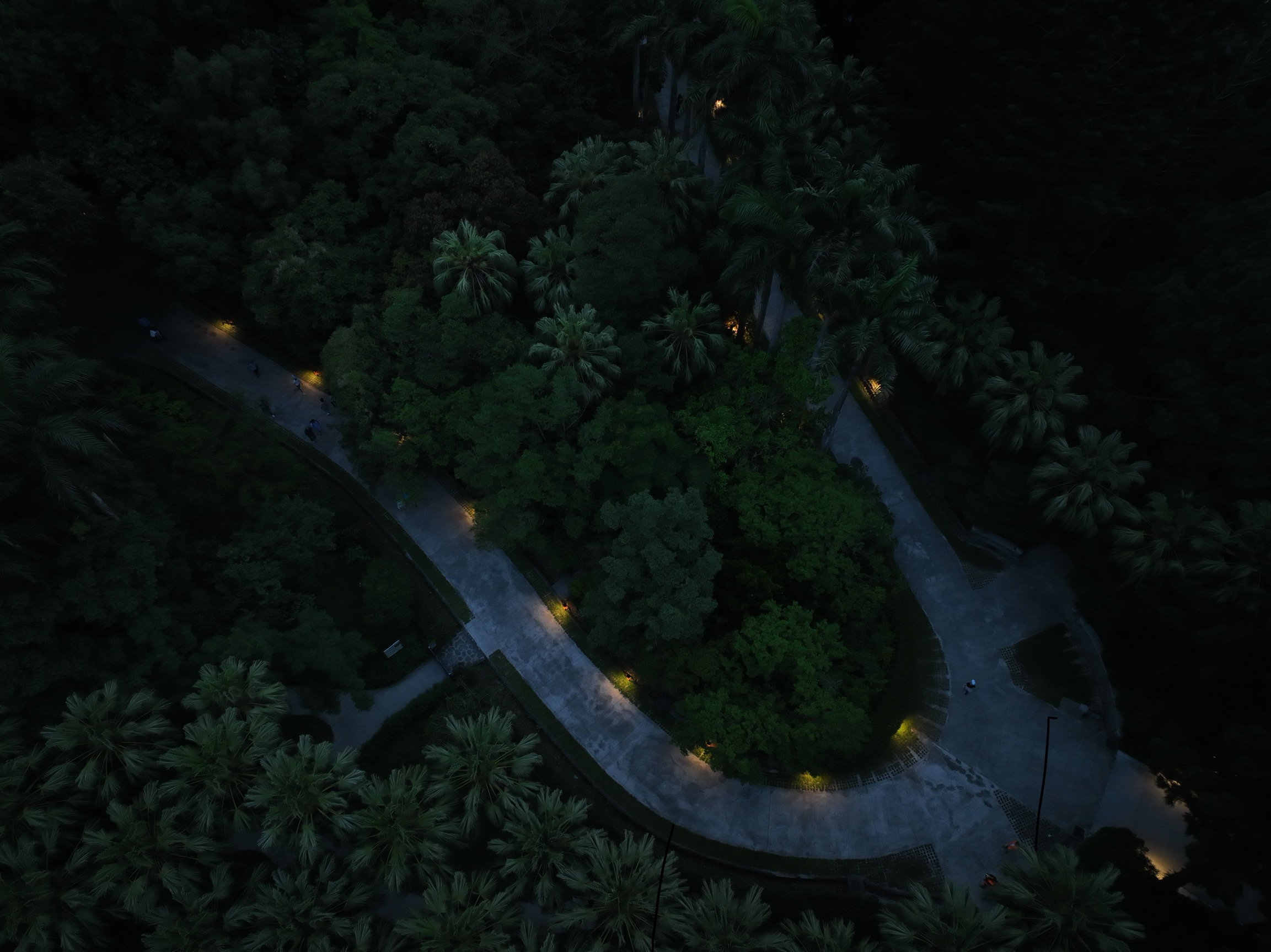 向林間借一條路──台北植物園與中光電基金會的植光計畫